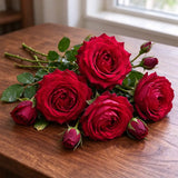 Alitissimo Climbing Rose Seeds Perennial Climbing for Vertical Gardens