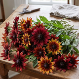 Cherry Red Black-Eyed Susan Rudbeckia Seeds Annual Tall Red for Pollinators