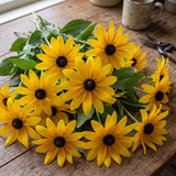 Classic Black-Eyed Susan Rudbeckia Seeds Annual Tall Yellow for Pollinators