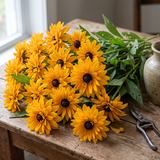 Classic Golden Yellow Black-Eyed Susan Rudbeckia Seeds Annual Tall Yellow for Pollinators