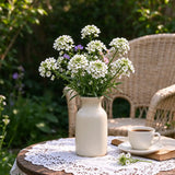Sweet Alyssum Seeds Annual Compact White for Ornamental