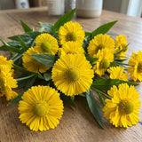 Yellow Helenium Seeds Annual Tall Yellow for Ornamental