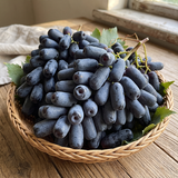 Rare Black Finger Grape Seeds Annual Climbing Purple for Fresh Eating