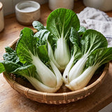 Toy Choi Hybrid Pak Choi Chinese Cabbage Seeds Biennial Compact Hybrid for Culinary