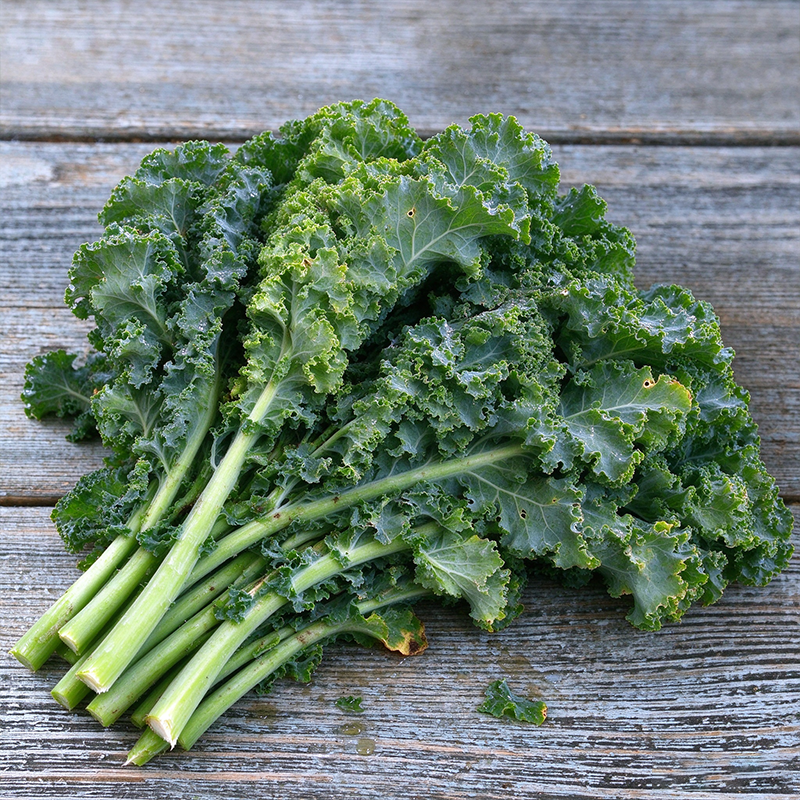 Crisp Morning Curly Kale Seeds Biennial Compact Curly for Salads
