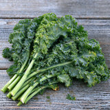 Crisp Morning Curly Kale Seeds Biennial Compact Curly for Salads