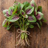 Red Amaranth Seeds Annual Compact Red for Culinary
