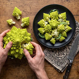Roman Pagoda Cauliflower Seeds Annual Tall Green for Culinary