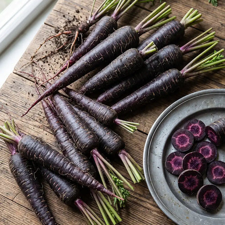 Royal Purple Carrot Seeds Biennial Compact Purple for Culinary