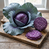 Stellar Blue Red Cabbage Seeds Biennial Compact Purple for Culinary