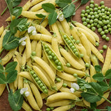 Sunshine Golden Snow Pea Seeds Annual Climbing Yellow for Culinary
