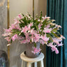 Orquídea pinza de cangrejo: la guinda del pastel
