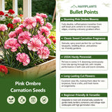 Pink Ombre Carnation Seeds
