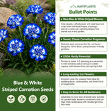 Blue & White Striped Carnation Seeds
