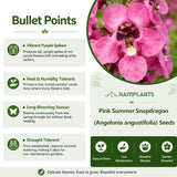 Pink Summer Snapdragon (Angelonia angustifolia) Seeds