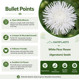 White Floss Flower (Ageratum) Seeds.