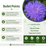 Vibrant Purple Floss Flower (Ageratum) Seeds