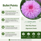 Pink Floss Flower (Ageratum) Seeds