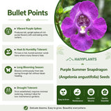 Purple Summer Snapdragon (Angelonia angustifolia) Seeds