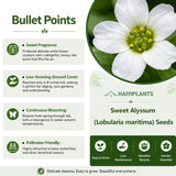 Sweet Alyssum (Lobularia maritima) Seeds