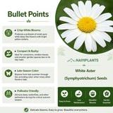 White Aster (Symphyotrichum) Seeds