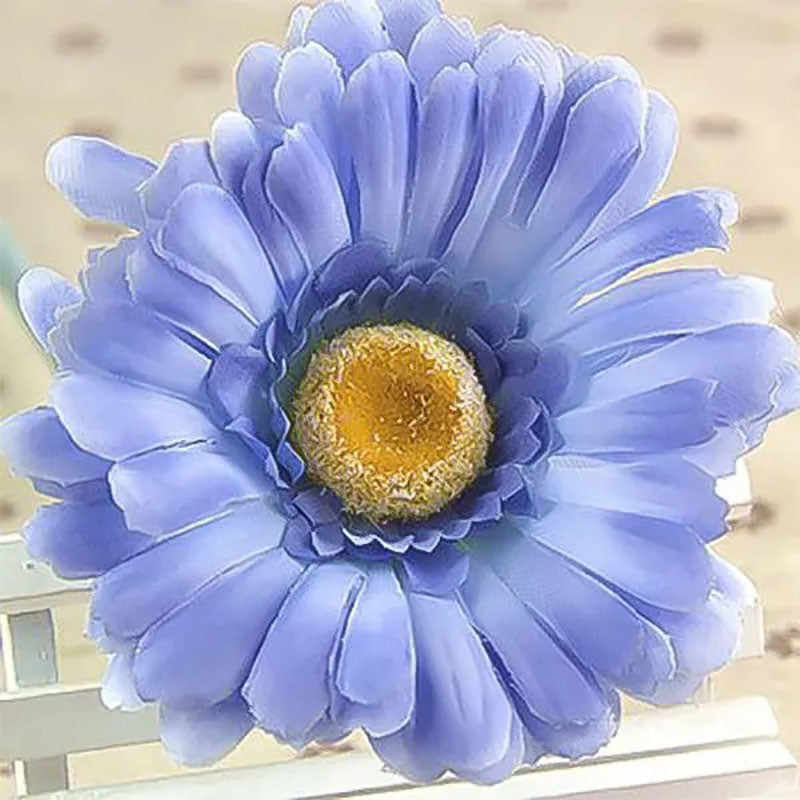 Blue Gerbera Flower Seeds, Sunflower