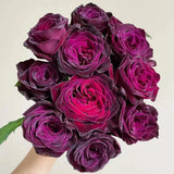 Black Buck Rose Seeds