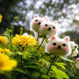 2025 New🔥Cat face flower Seeds
