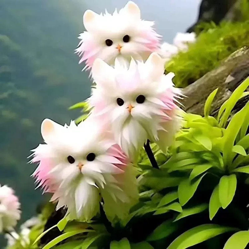 🔥Amazing Plants! 🌈🐱Cat's eye dazzle×Pink long ears cat