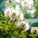 🔥Amazing Plants! 🌈🐱Cat's eye dazzle×Pink long ears cat