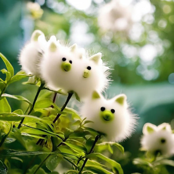 🔥Amazing Plants! 🌈Cat's eye dazzle seeds×Cute Pig🐷