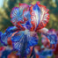 Stardust Snow-Rare Iris Seeds ⚜️