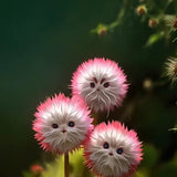 2025 New🔥Red Cat face flower Seeds