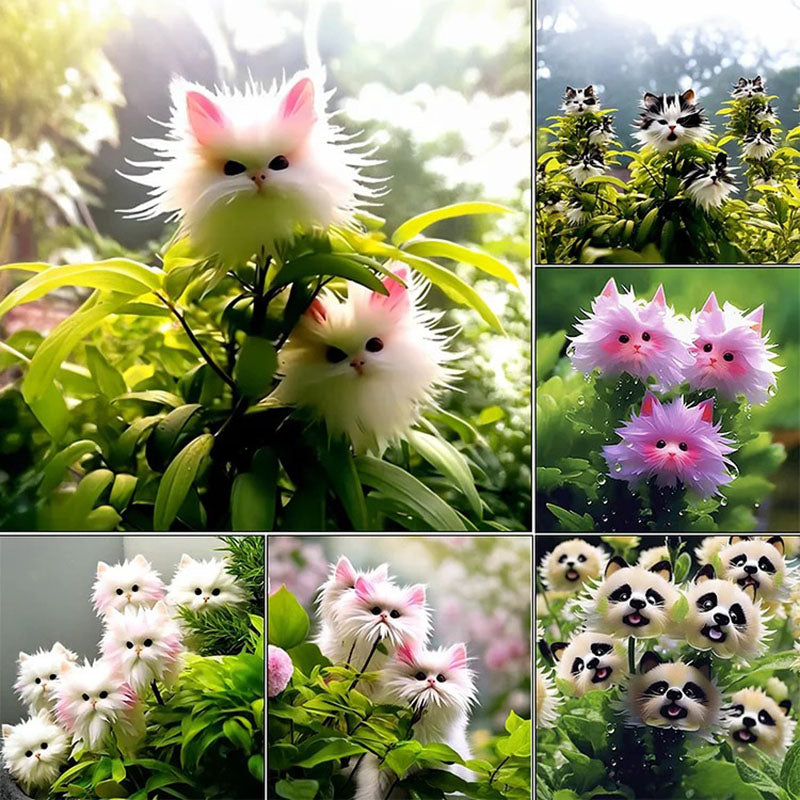 🔥Amazing Plants! 🌈🐱Cat's eye dazzle×Pink long ears cat