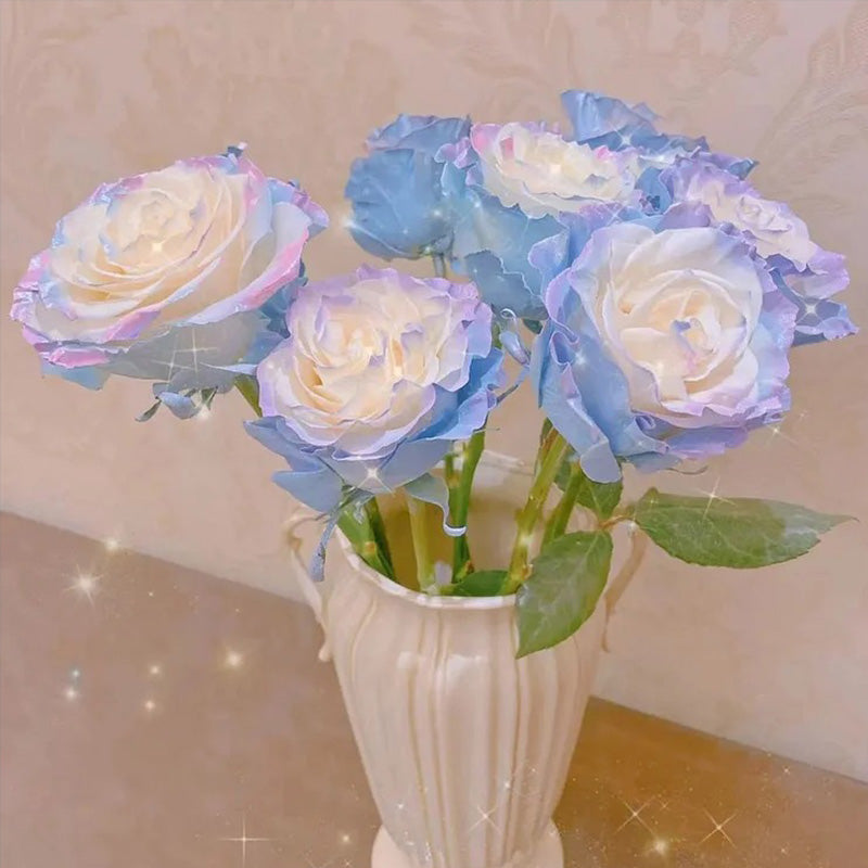 Ecuadorian Rose - Fairy Tale Seeds