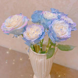 Ecuadorian Rose - Fairy Tale Seeds