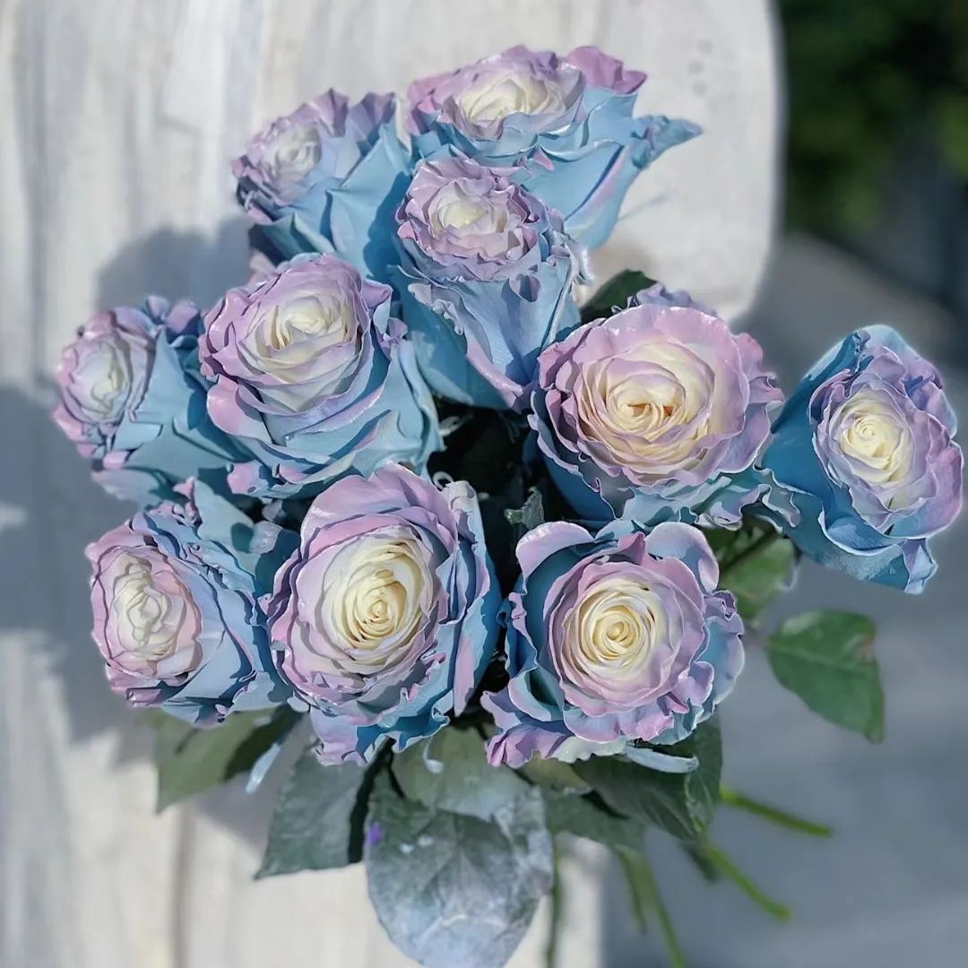 Ecuadorian Rose - Fairy Tale Seeds