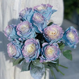 Ecuadorian Rose - Fairy Tale Seeds