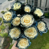 Ecuadorian Rose - Galaxy Seeds