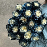 Ecuadorian Rose - Galaxy Seeds