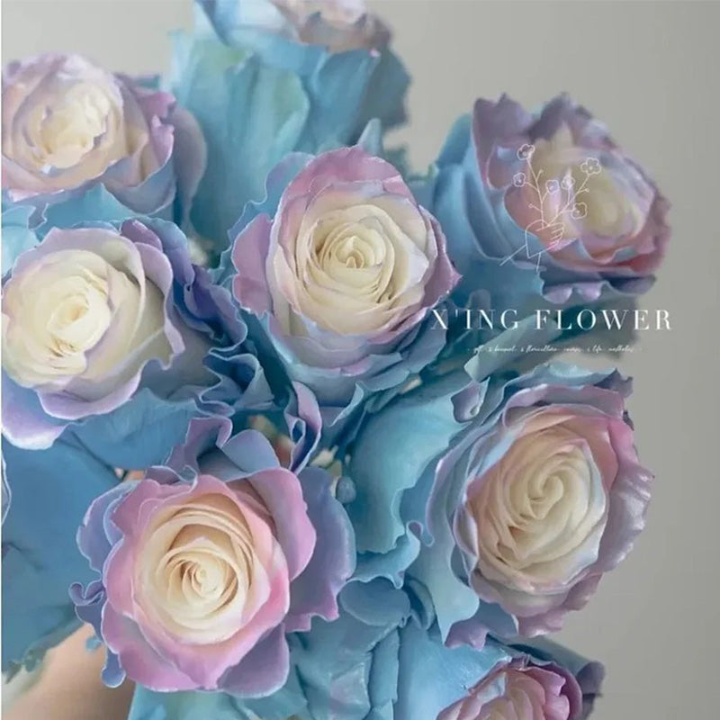 Ecuadorian Rose - Fairy Tale Seeds